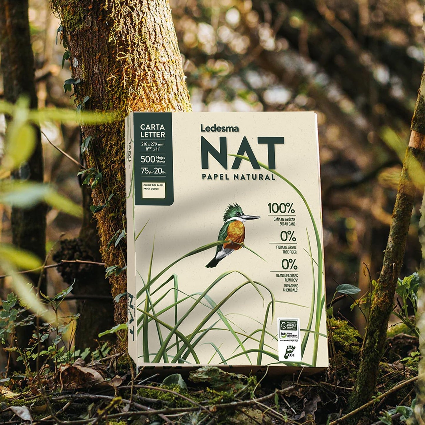 Ledesma NAT, Letter Size (8.5"x11") Natural Sugarcane Pulp Printer Paper, for All Office and Photocopy Printers, Designs, Crafts (3 Reams (1500 Sheets))