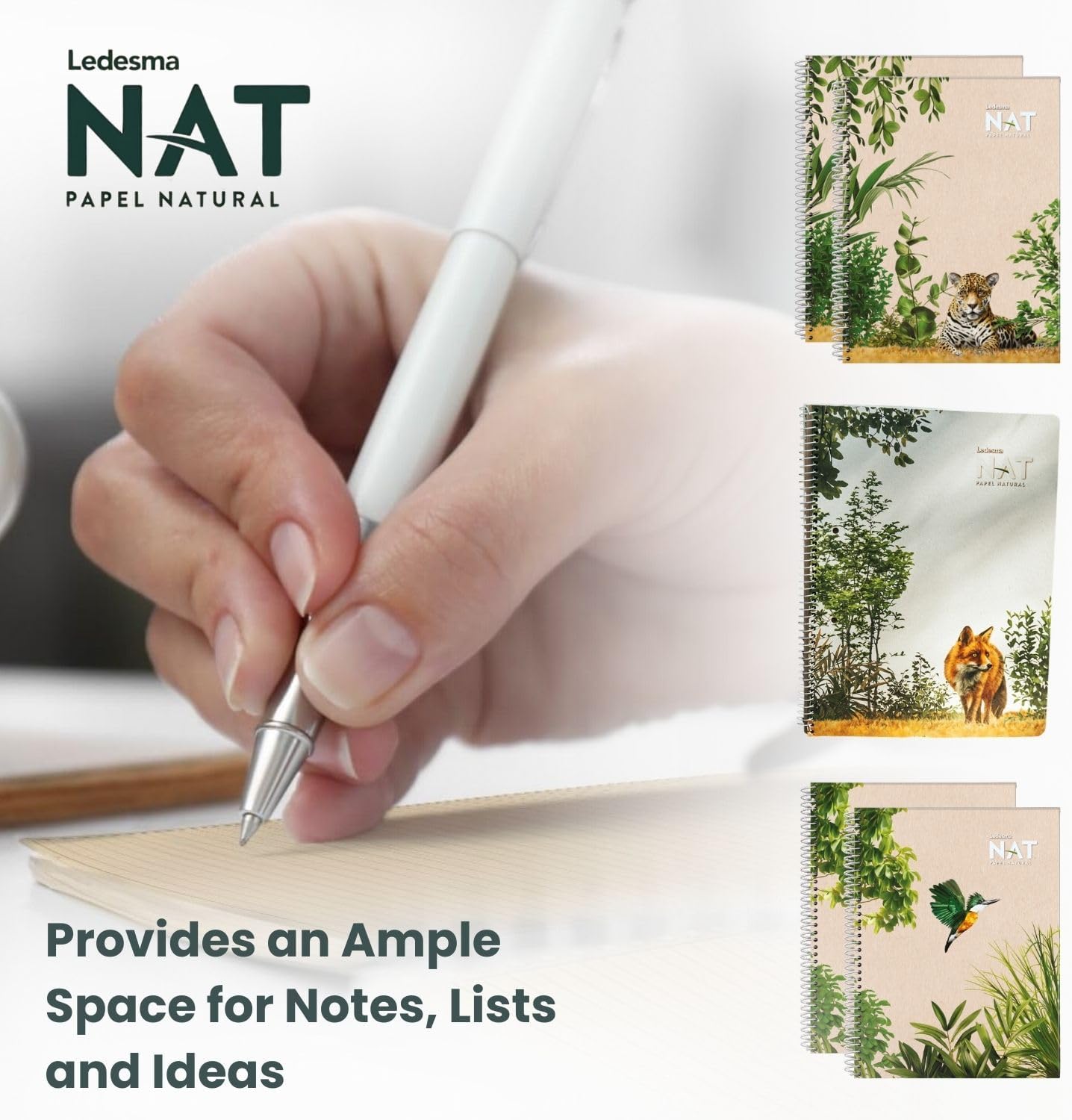 Spiral Lined Notepad with Perforated Edges - 8.7x11.5 Inches, No Tree Used, Sugarcane Fiber - Unbleached, Assorted Covers for School, Office & Writing (5-Pack)