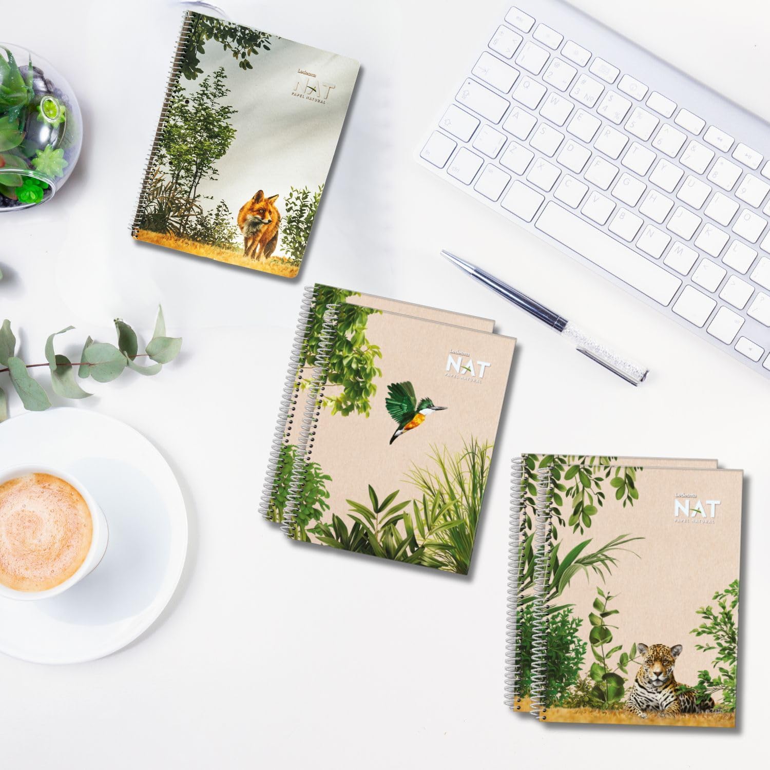 Spiral Lined Notepad with Perforated Edges - 8.7x11.5 Inches, No Tree Used, Sugarcane Fiber - Unbleached, Assorted Covers for School, Office & Writing (5-Pack)