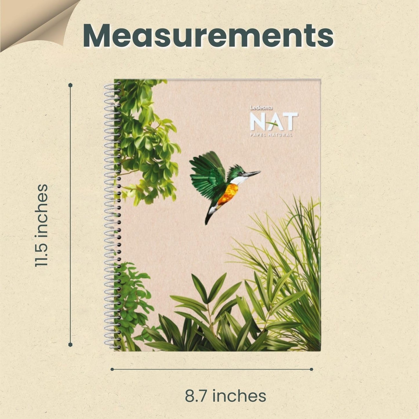 Spiral Lined Notepad with Perforated Edges - 8.7x11.5 Inches, No Tree Used, Sugarcane Fiber - Unbleached, Assorted Covers for School, Office & Writing (5-Pack)