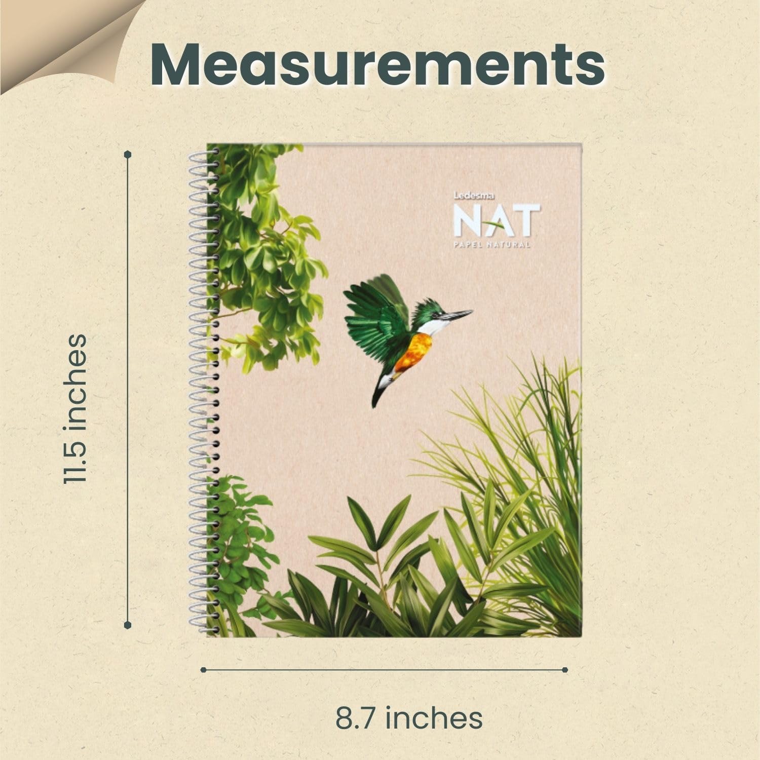 Spiral Lined Notepad with Perforated Edges - 8.7x11.5 Inches, No Tree Used, Sugarcane Fiber - Unbleached, Assorted Covers for School, Office & Writing (5-Pack)