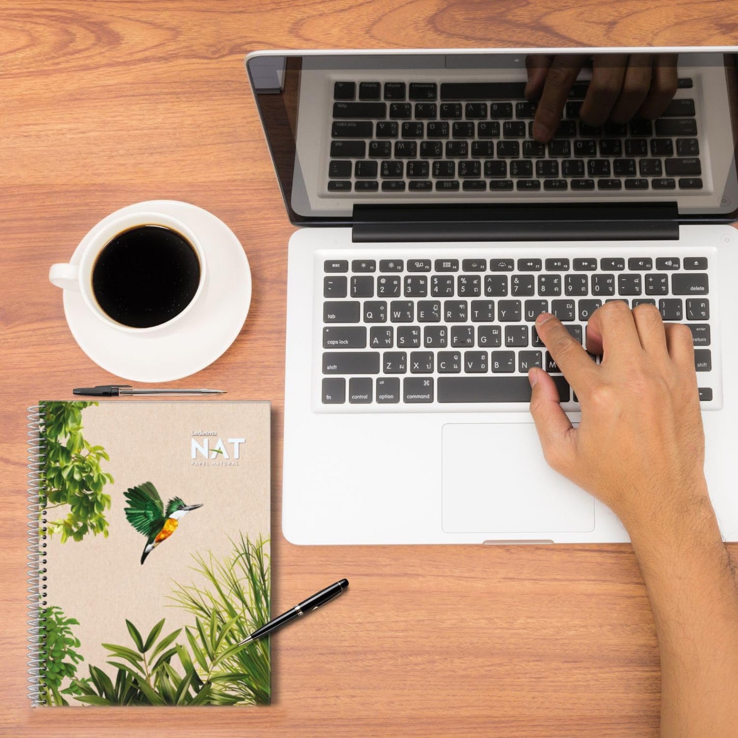 Spiral Lined Notepad with Perforated Edges - 8.7x11.5 Inches, No Tree Used, Sugarcane Fiber - Unbleached, Assorted Covers for School, Office & Writing (5-Pack)