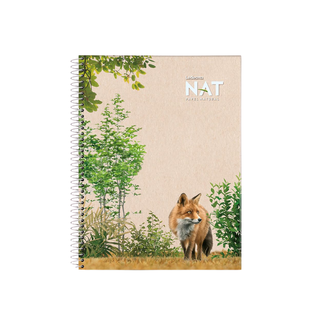 Spiral Notepad 8.7x11.5", Unbleached Sugarcane Paper, Perforated, Assorted Covers, 5-Pack