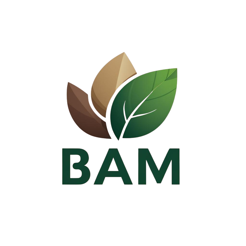 BAM POS Paper