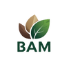 BAM POS Paper